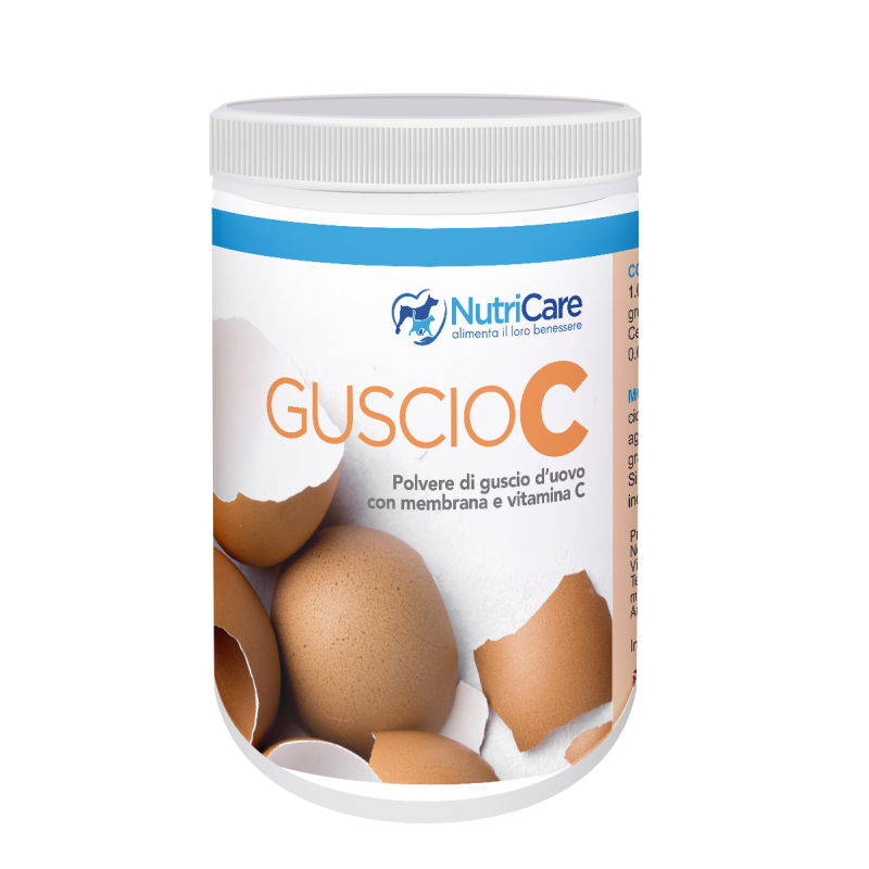GUSCIO-C