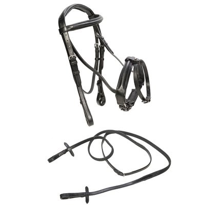 Tack and Equipment