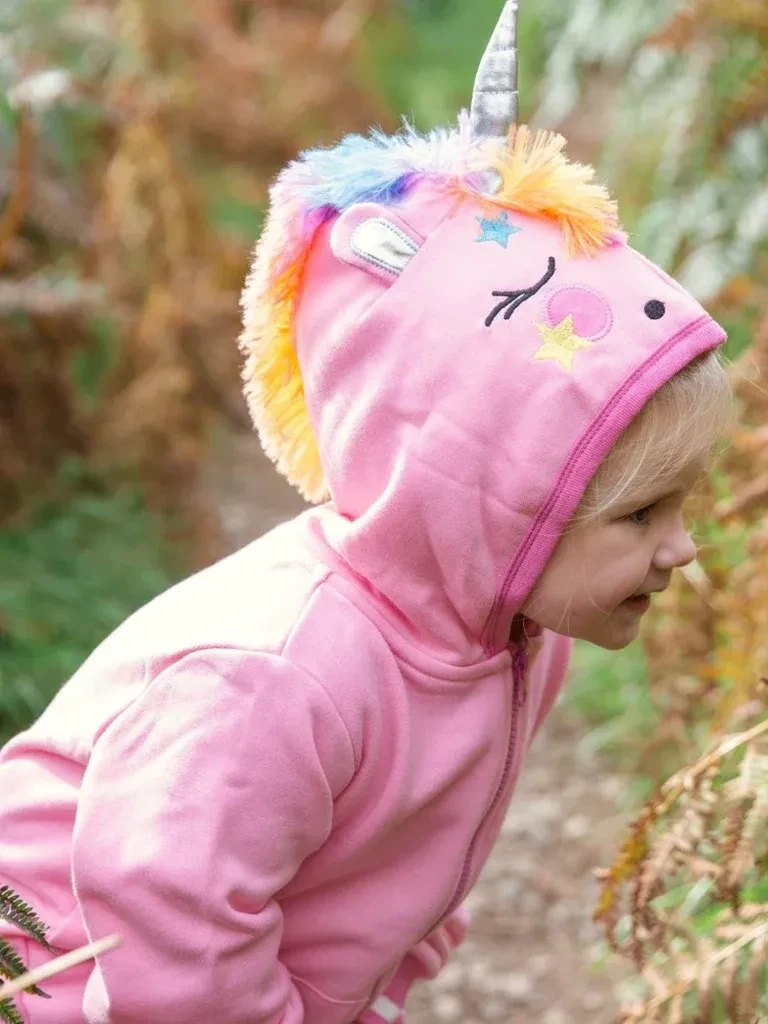 Flying Unicorn Hoodie