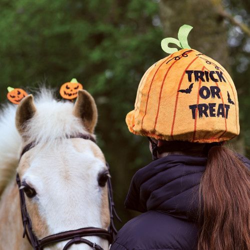 Wicked Pumpkin Hat Silk & Bridle Boppers Set