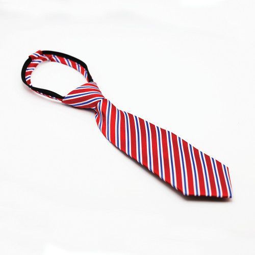 Regent Stripe ready-Tied Show Tie