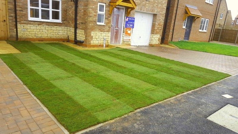 Premier Lawn Turf Roll (1m2).  General Purpose / Hardwearing Lawn
