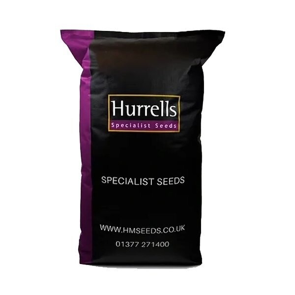 HM.2 Premium Front Lawn / Low Maintenance Grass Seed Mix (HM2)