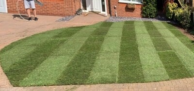 Premier Lawn Turf Roll (1m2). General Purpose / Hardwearing Lawn
