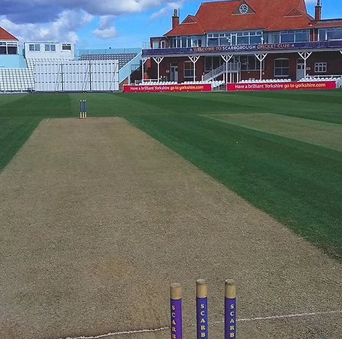 20kg - CR.1 Premium Cricket Squares Grass Seed Mix (CR1)