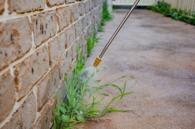 Total Weed Control