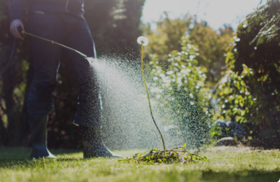 Selective Weed Control