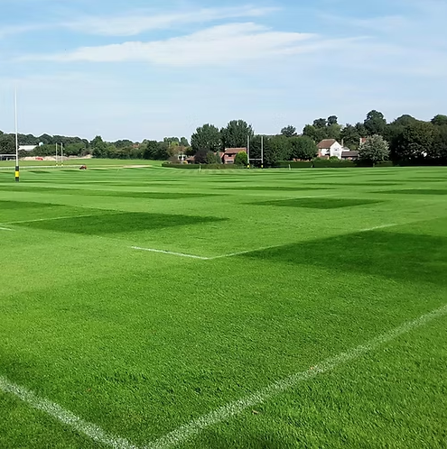 20kg - FR.3 Contractor 3 Way Rye Grass Seed Mix (FR3)