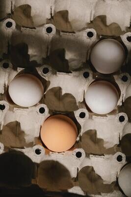Concevoir son atelier de découpe de viande - Centre de conditionnement d’œufs - Abattoir de volailles à la ferme 
 (Printemps 2022 - Lieu à définir)