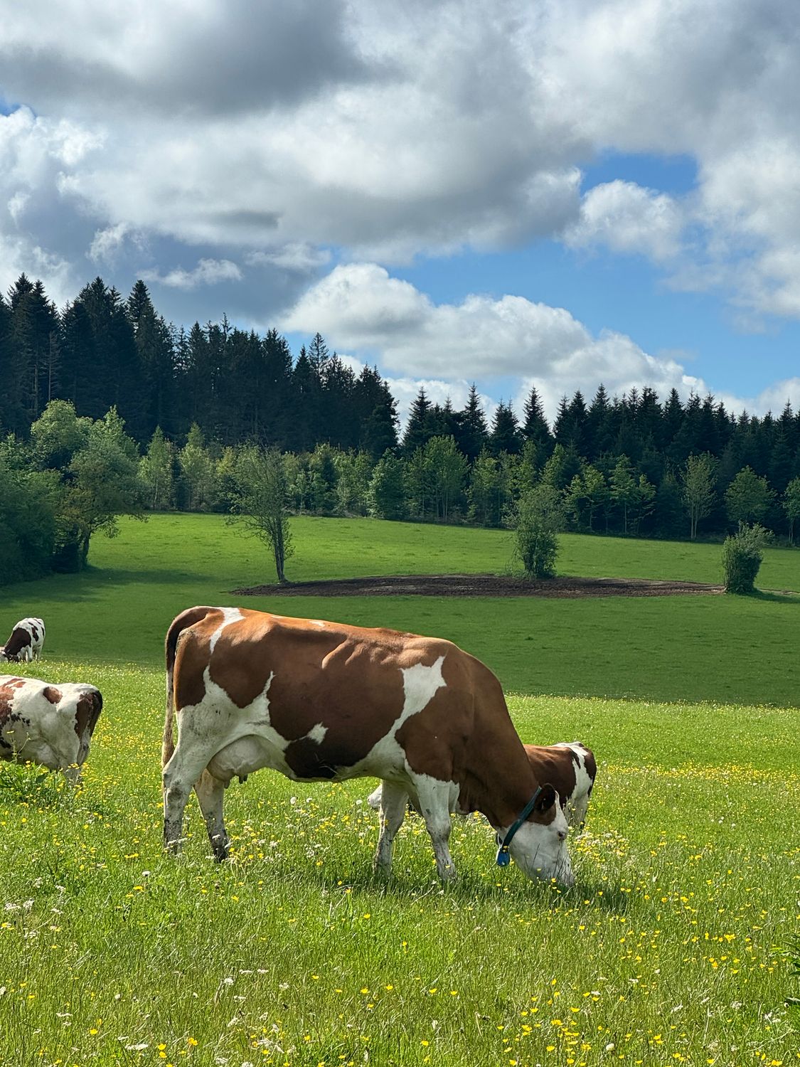 Création ou reprise d&#39;une entreprise agricole novembre 2025 - Du 01 au 18 décembre 2025