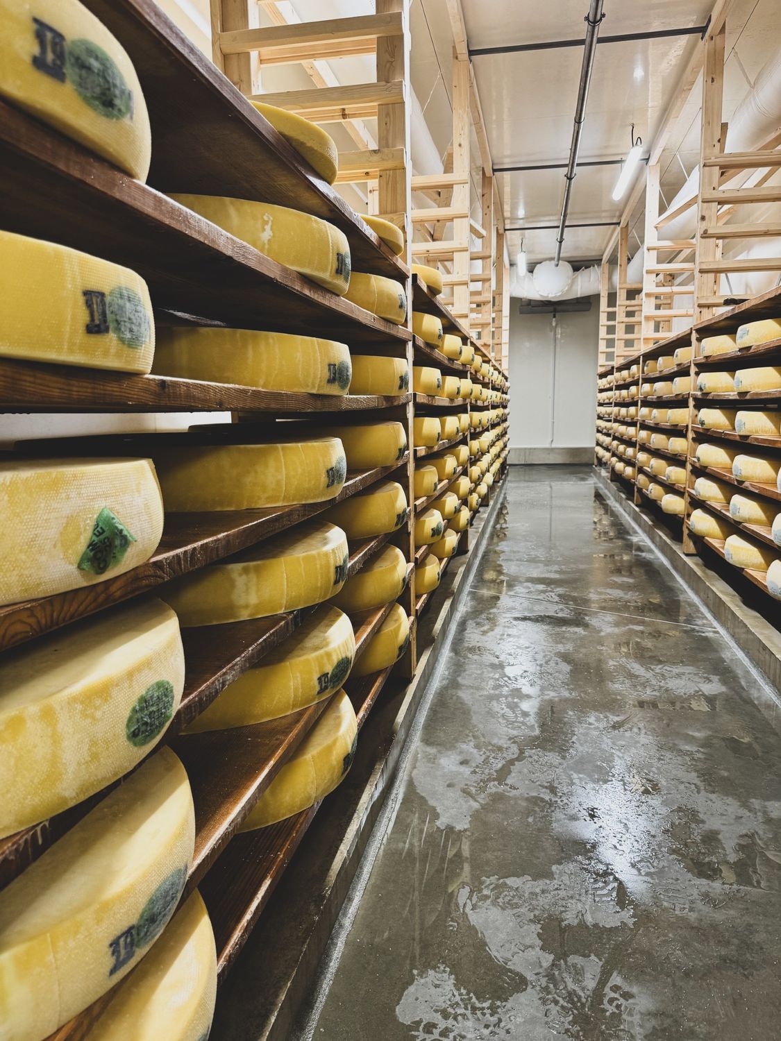 Producteur de lait dans ma filière Comté septembre 2025 - 02, 04 et 09/12/2025