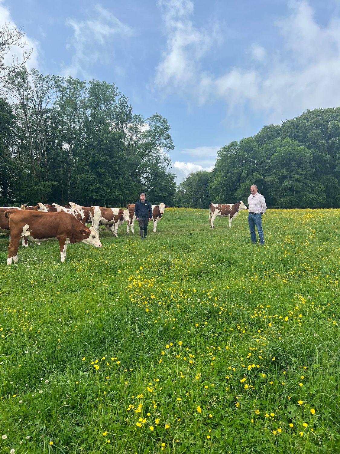 Piloter sa ferme en polyculture élevage : les clés de l&#39;efficacité économique - 18/11 et 02/12/2025