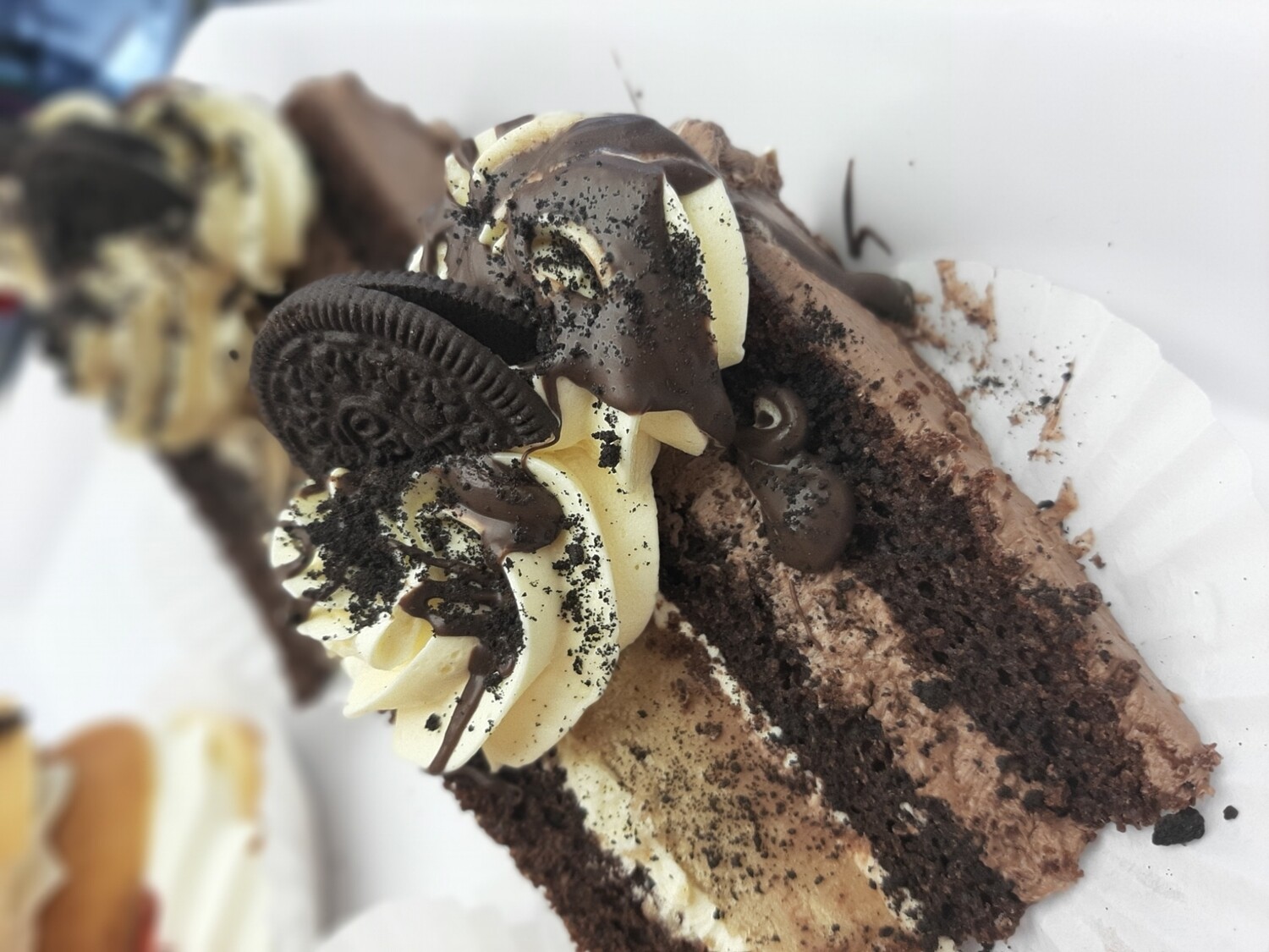 Cake slice of the day Cake slice of the day