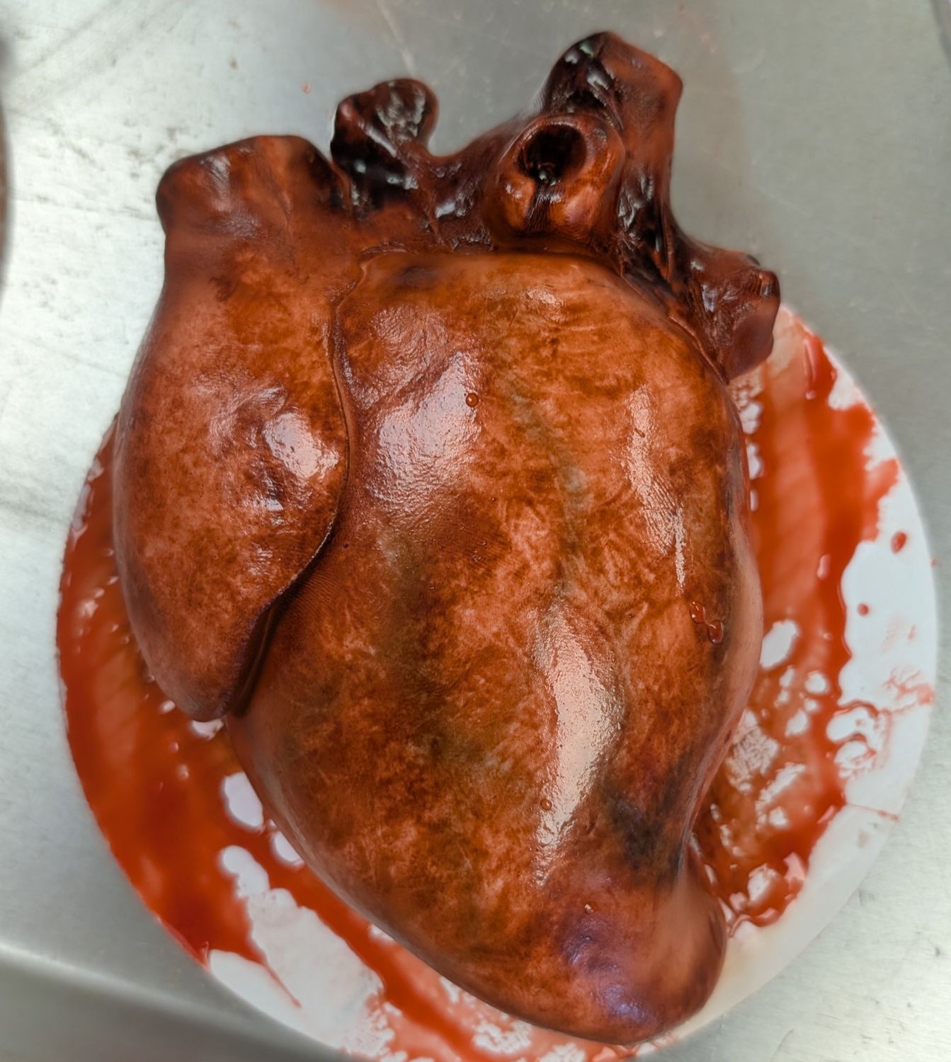 Bleeding heart
