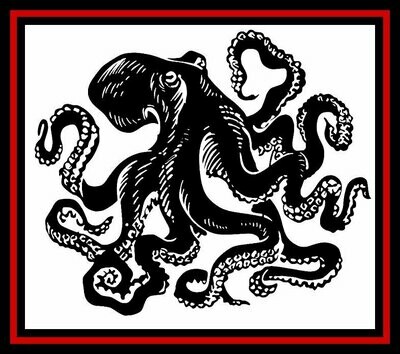 Octopus Curly
