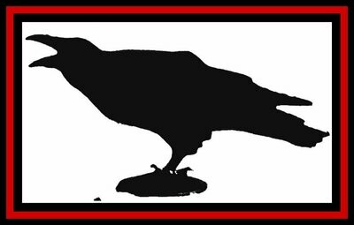 Squacky Raven