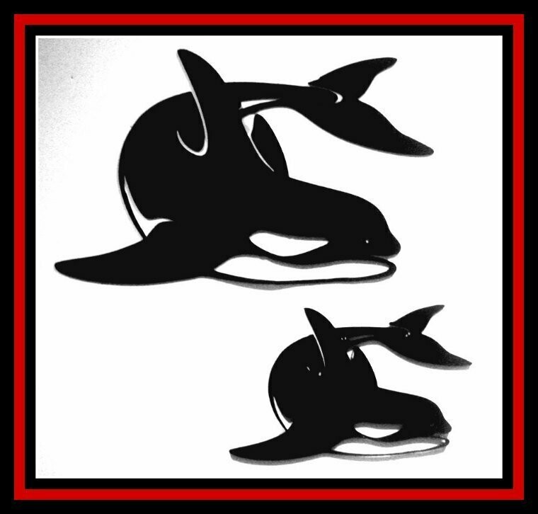 Orca Face Down