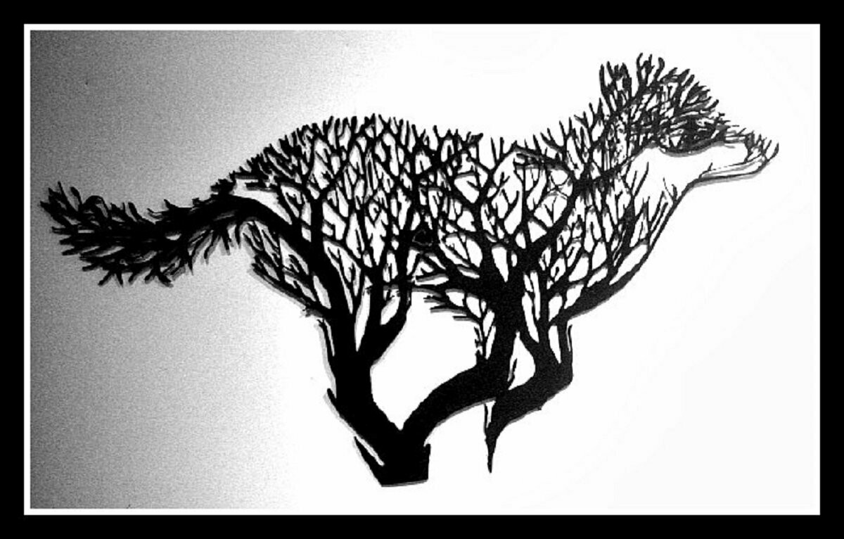 Wild Wolf Galloping