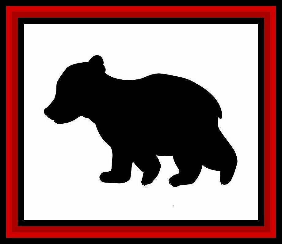 Bear Cub