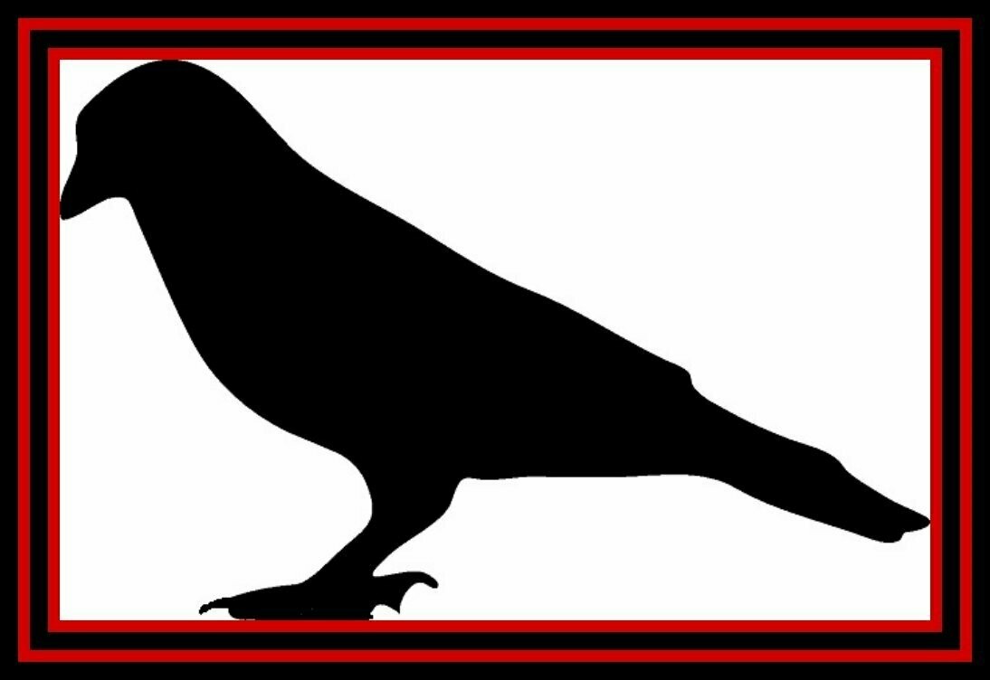 Raven Zeida