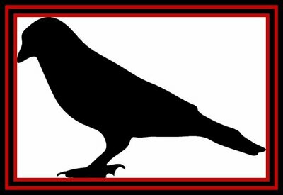 Raven Zeida Raven Zeida