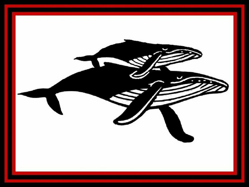Two Humpbacks Whale Echo