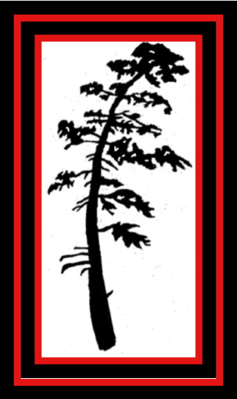 Douglas Fir