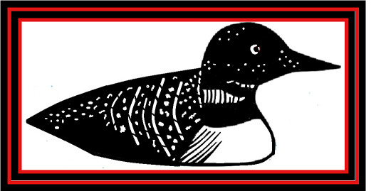 Loon Loonname