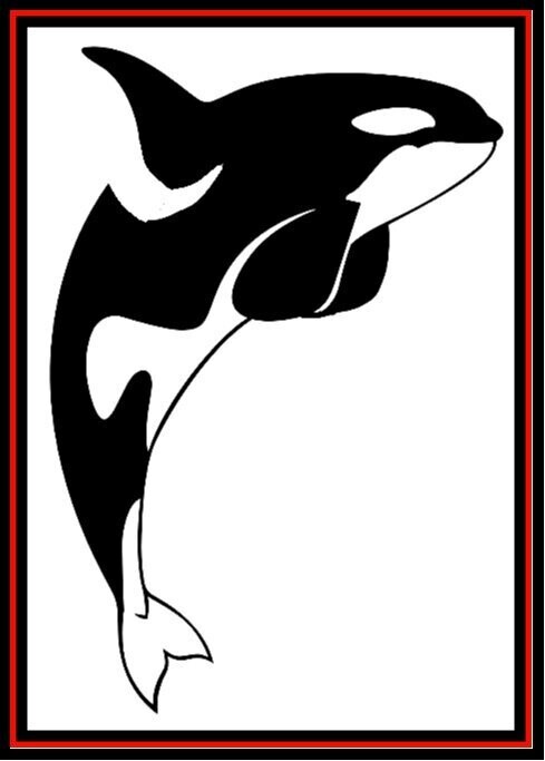 Nemo Orca