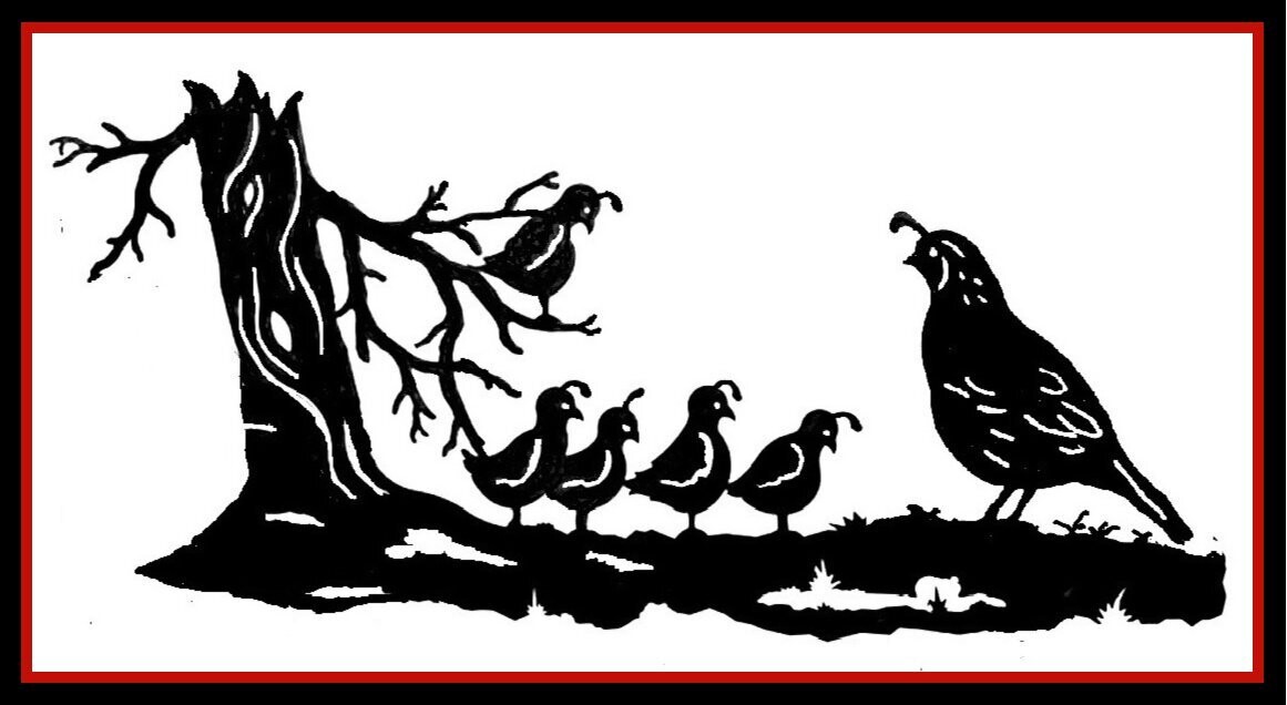 Quail Family