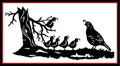 Quail Family
