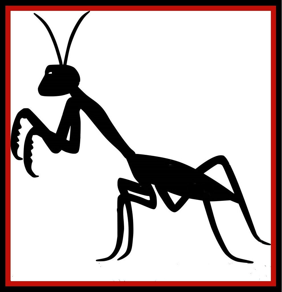 Praying Mantis