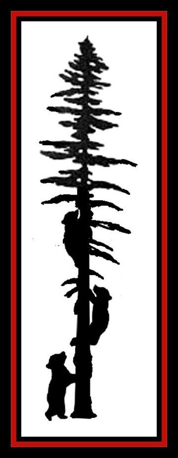 Triple Cub Tree Climbers
