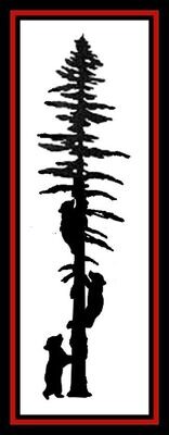 Triple Cub Tree Climbers Triple Cub Tree Climbers