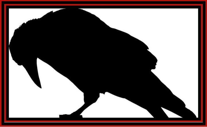Bowing Raven