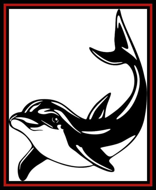 Bubble Dolphin