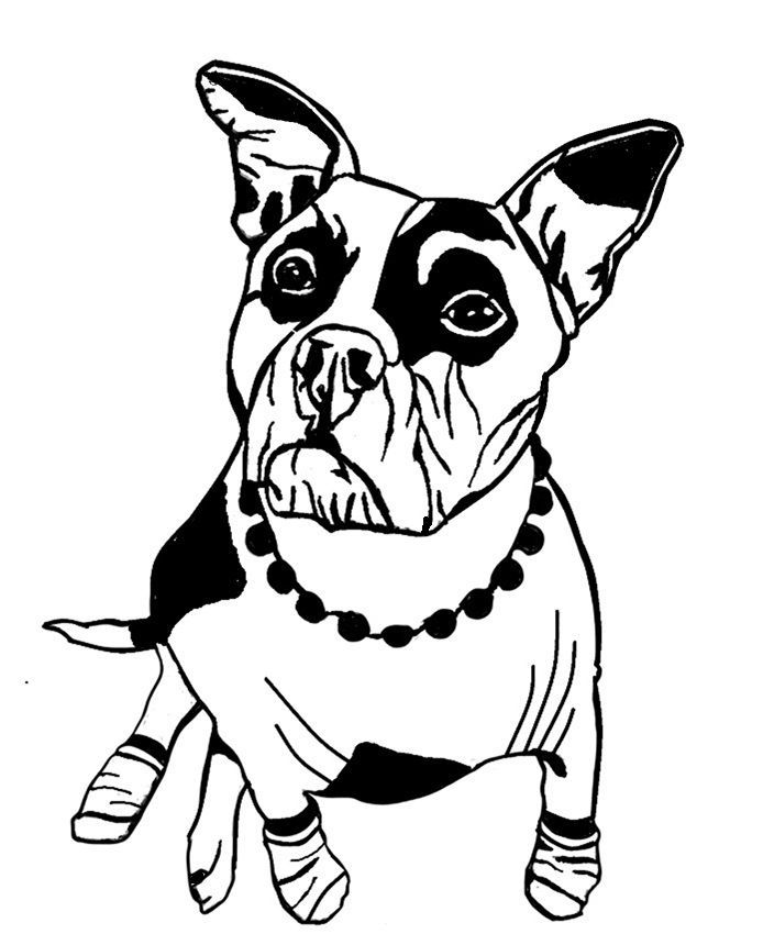 Order Nugget Order Nugget