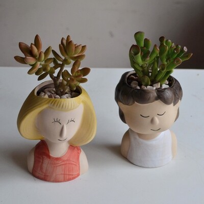 Succulent Plant Couple
