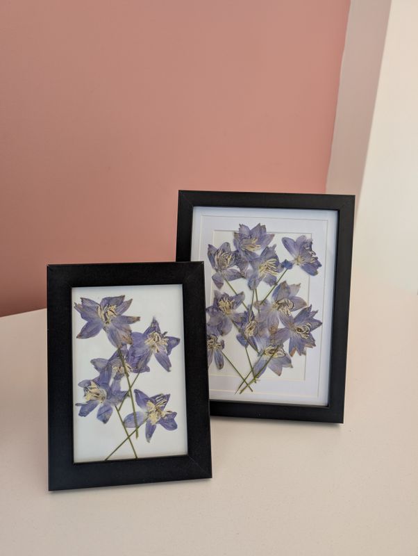Pressed Flower Frame Set