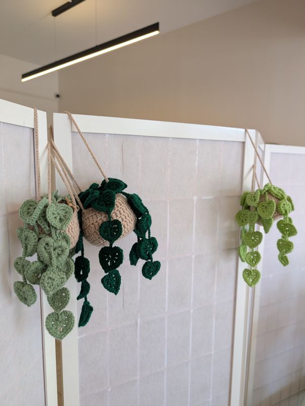 Crochet Hanging Plant