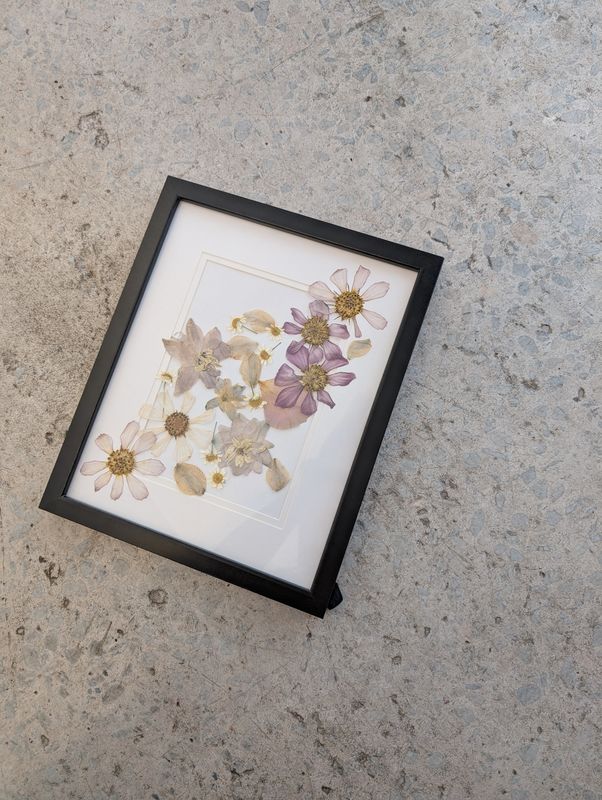 Cosmos Pressed Flower Frame
