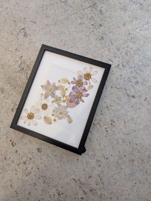 Cosmos Pressed Flower Frame
