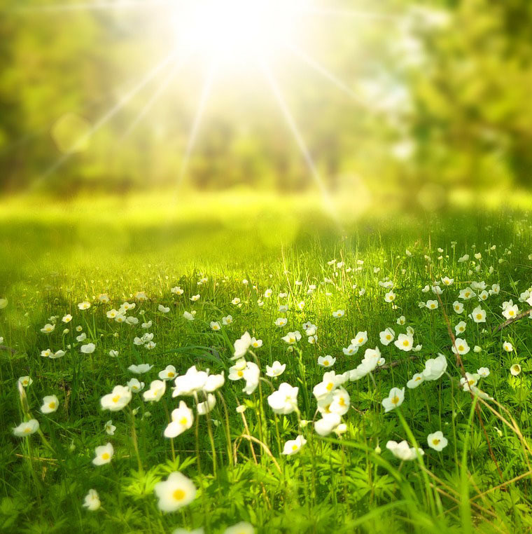 Akashic Sun Meditation - 7 Minutes to Peace