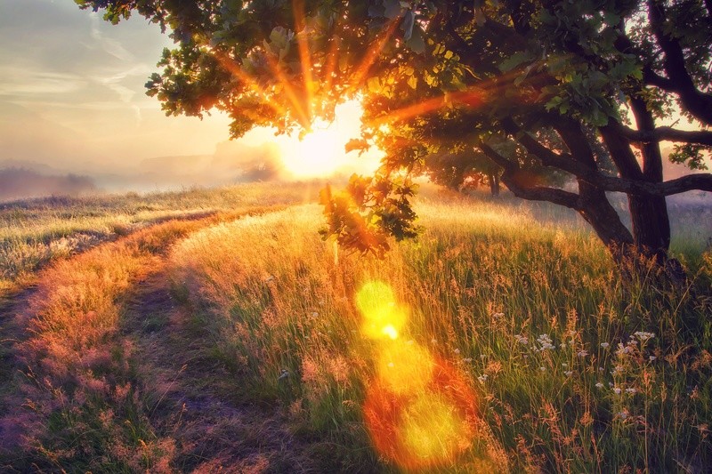Mother Earth Grounding Meditation