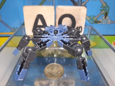 Insect