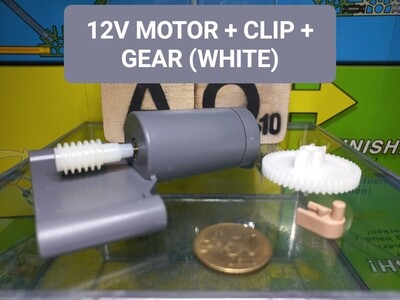 Motor