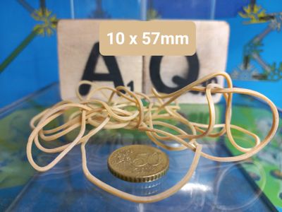 Rubber band