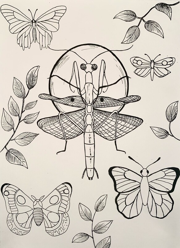 Stillness in the Midst of Transition