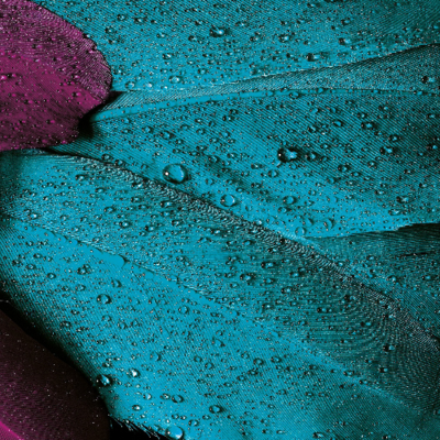 MOUTH FRESHNER &amp; DIGESTIVE