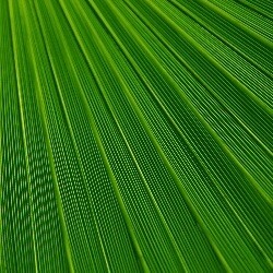 DETERGENT POWDERS &amp; BARS